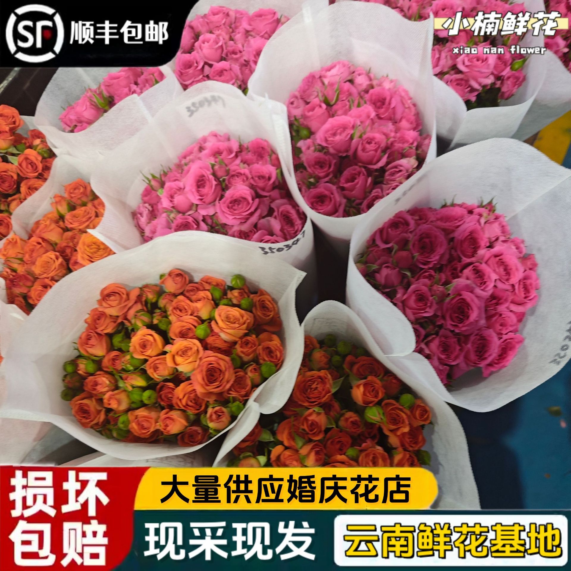 玫瑰花鲜花直发批发云南昆明鲜花直批国庆婚庆花店摆摊送人团购鲜