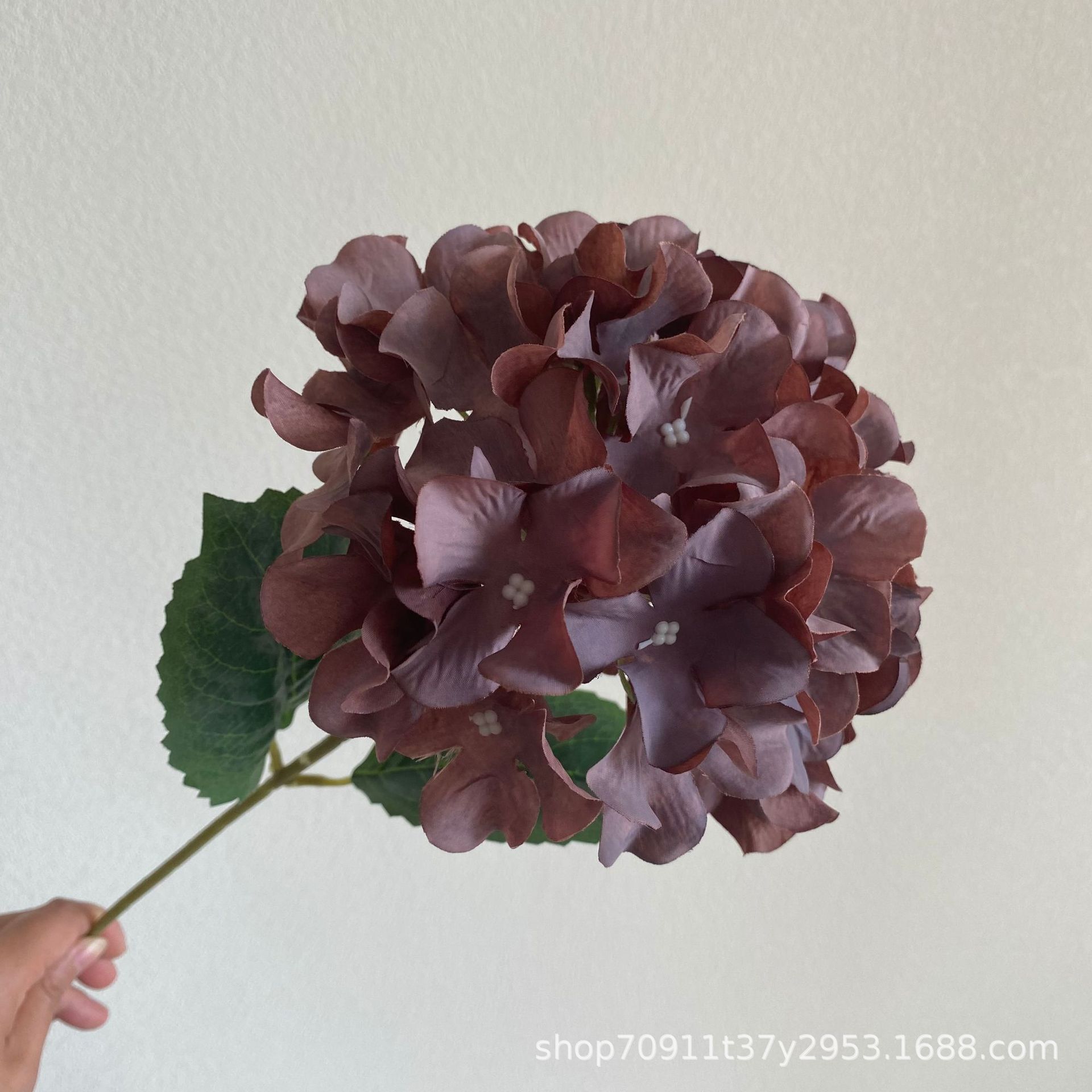 검정 커피색