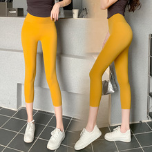 ���������ļ�����o���ξ��o���٤���ѝ͸���߷ָ����ű�ѝ