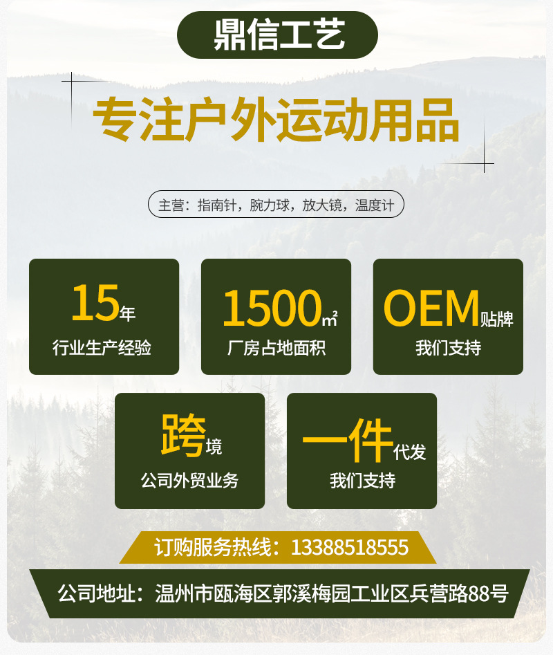 Dingxin inner page_02.jpg