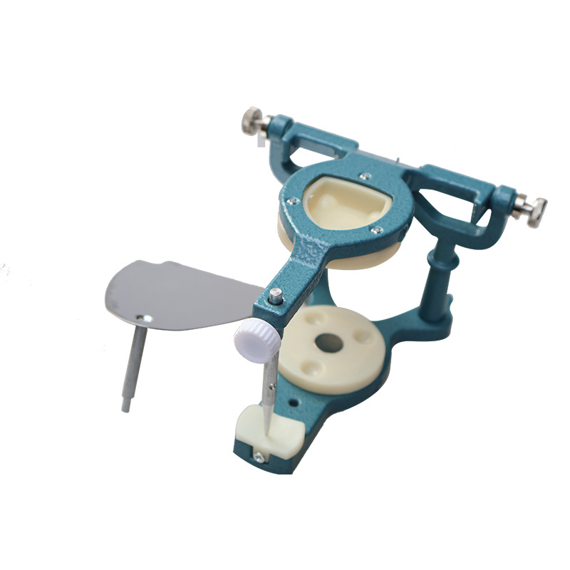 Modelo de irrigación de dientes grandes y pequeños de la técnica de la cavidad oral promedio de descomposición de planillación de la técnica