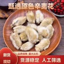 辛夷 辛夷花 毛桃花  辛夷粉 毛笔头 中药材辛夷花 香料辛夷花