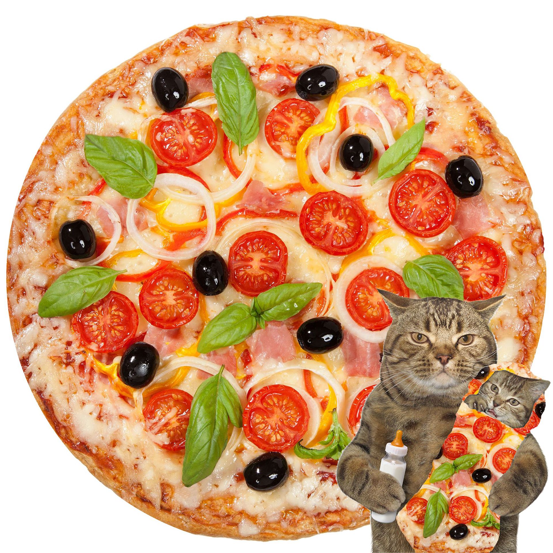 90cm x 90cm (과일 사용자 정의 가능)