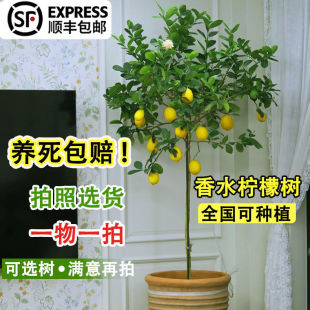 ��ˮ���ʘ����ԏV�|�ļ����������Ϙ���ʳ���̨ͥԺ�҃ȾGֲ����