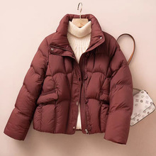 �Ӻ��@�����2025���¶������eС�����¿���q�޷���ůС����