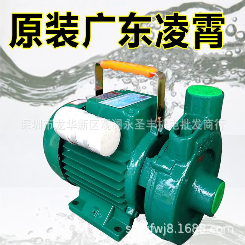 广东凌霄1DK14家用清水泵1DK20离心泵1.5DK20自来水抽水泵2DK20