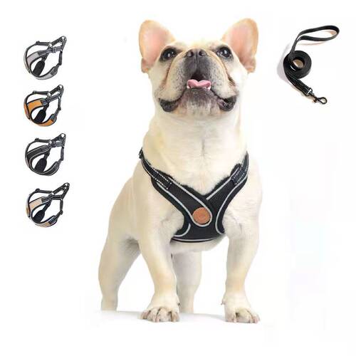 Pet Harness Back Harness Dog Leash Set Walking Leash Cat Dog Collar Anti-Choking Adjustable Direct Manufacturer Sale