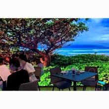 LED全景沉浸式餐厅显示屏体验原理 浪漫风情显示大屏幕制造商