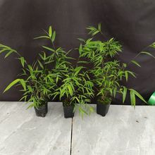 �U��̨����T��С�辰�҃ȕ������^���B��̨��