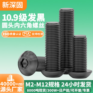 ̼�10.9����A�^�������ݽzM2-M10�ߏ��Ⱥ�ɫĢ���^�P�^�����˨