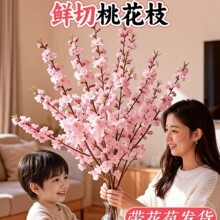 �һ��r֦��֦ˮ���r�Ў������t÷�҃ȿ͏dˮ�B�Gֲ�����k��������