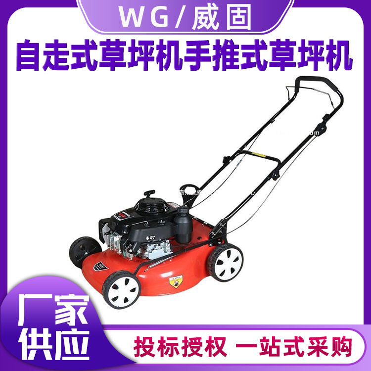 自走式草坪机手推式草坪机 四合一割草打草机 汽油草坪机