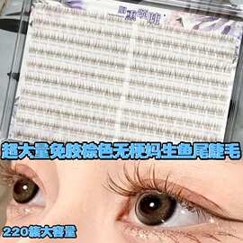 超大量粘胶款棕色无梗妈生鱼尾假睫毛上镜伪素颜纯欲绒感氛围睫毛