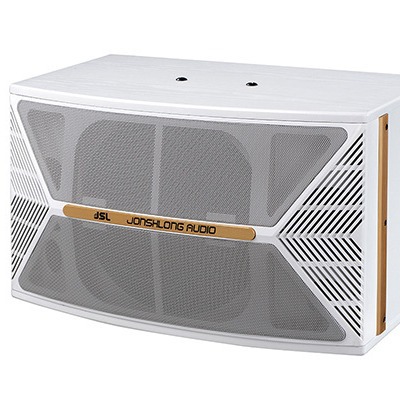 10英寸家用KTV音响 爵士龙V1酒吧娱乐卡包唱歌商超会议室音箱设备