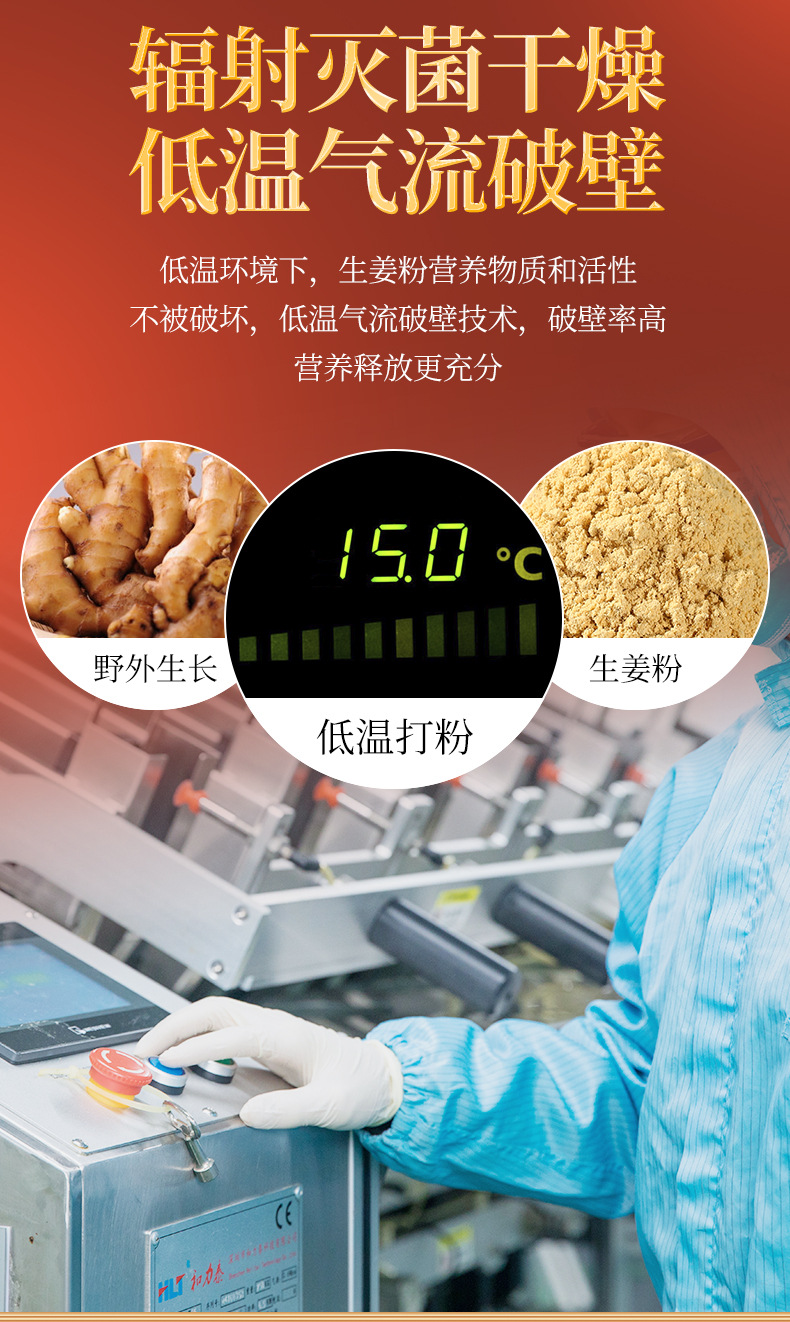 Dried Ginger Powder (Zingiber officinale) — Yunnan Small Yellow Ginger, 200g Jar quality and texture