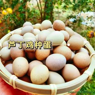 ���l�J���u�ܾ����ɷ��������u�W�t�u�R���u�N����ϵ׃�����߻�