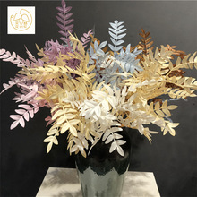 ��֦�����~ ��ɫ�����~�ӻ�c��Y���b����ϙ��~�����~����~