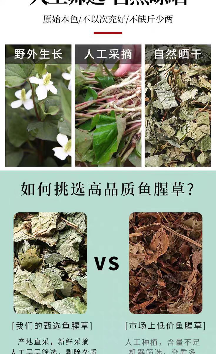 Wild Houttuynia Cordata (Yu Xing Cao) — Dried Food Herb for Soup & Tea, 500g key features