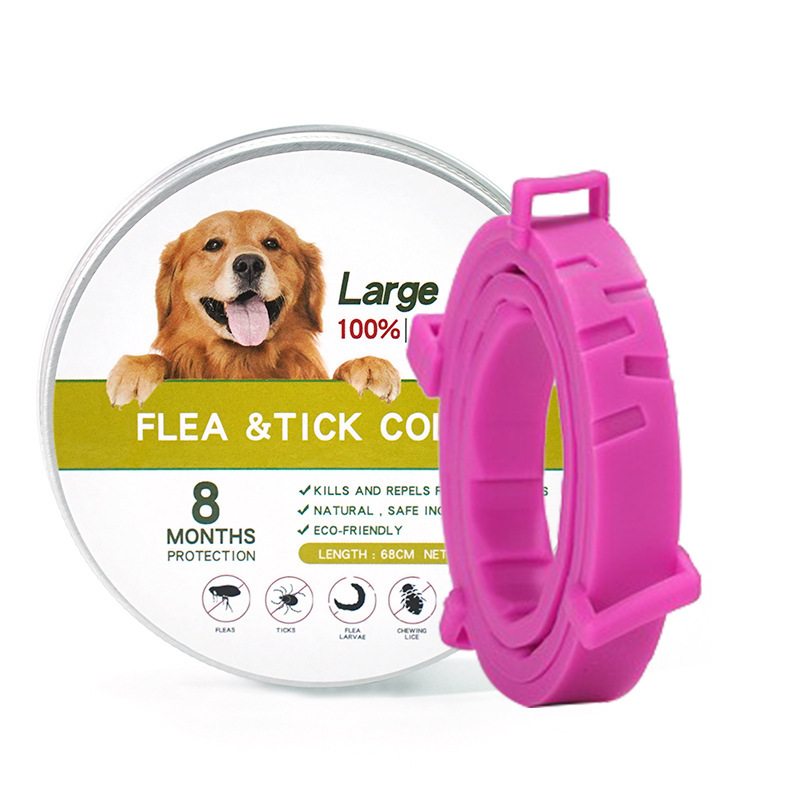 흰색 상자 긴 분홍색 칼라