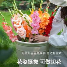 mNļ҃ͥԺ̨ͺ͟Ứֲ