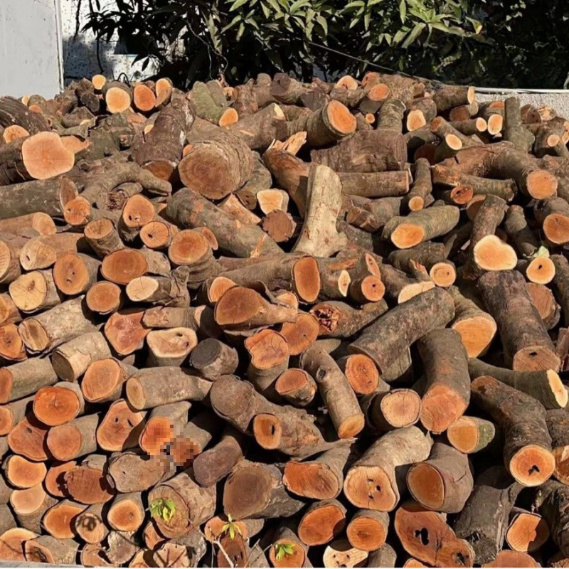 Firewood for Fireplace, Lychee Wood, Firewood for Steak, Fruit Wood, Bonfire, Logs, Dry Firewood for Home Kitchen, Wholesale from China Haohang Manufacturer