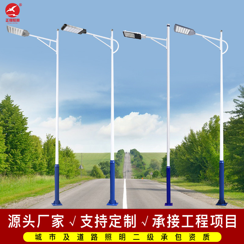 户外单臂双臂市电路灯定做10米12米路灯杆高速市政工程道路照明灯