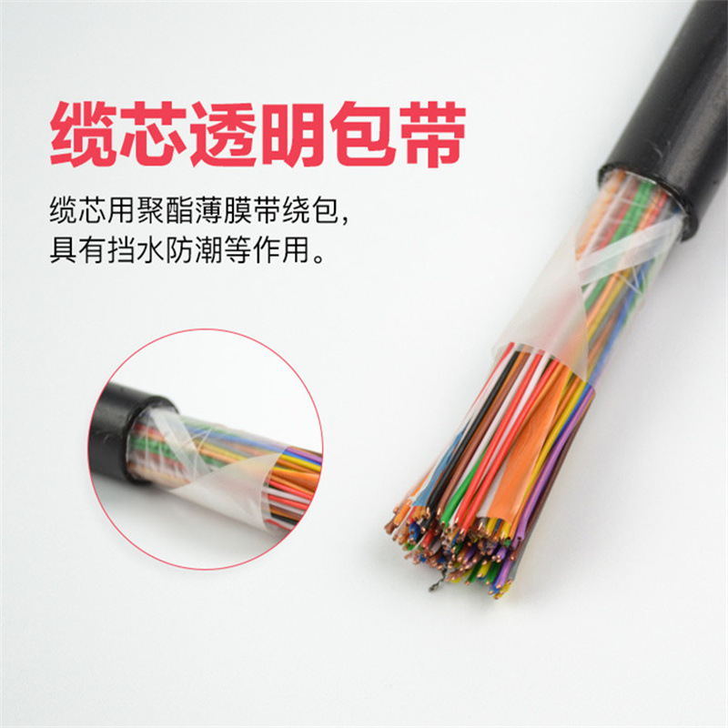 HJVVP20*2*0.5电缆铜丝编织屏蔽电缆～通讯电缆电缆型号 HJVVP