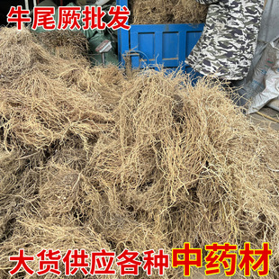 ţβާ���l �V���a��؛Դ �����  ţβ�˸� ţβާ��