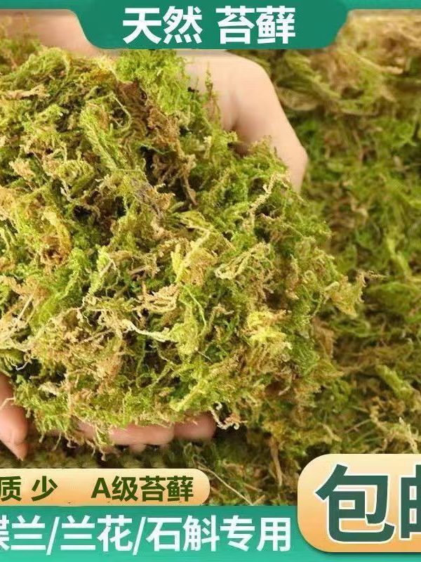 干苔藓兰花土蝴蝶兰青苔种植土石斛营养土球兰花水苔铺面