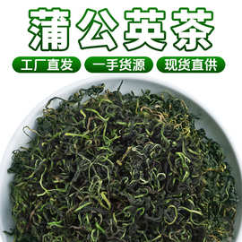 徽五弟头茬蒲公英新鲜婆婆丁蒲公英茶叶多品大货批发一手货源包邮