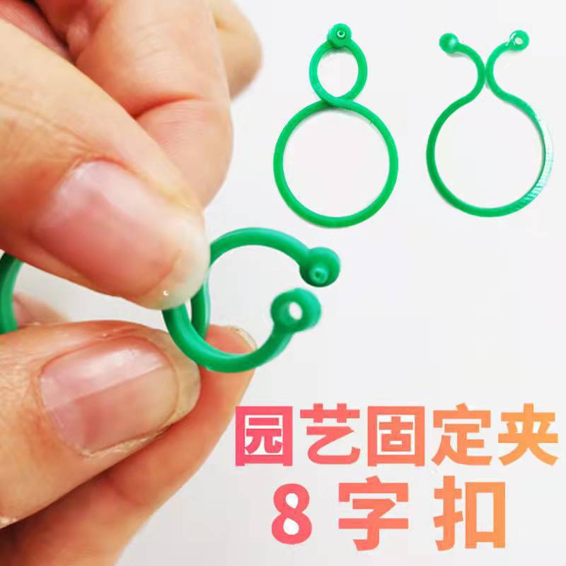 園藝8八字扣圈蝴蝶扣大八字植物捆綁紮帶藤曼生長固定夾器葫蘆圈