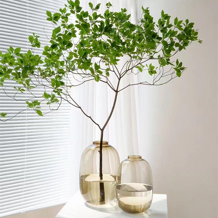 網紅簡約馬醉木花瓶大肚玻璃透明水養客廳插花擺件落地花器吊鐘