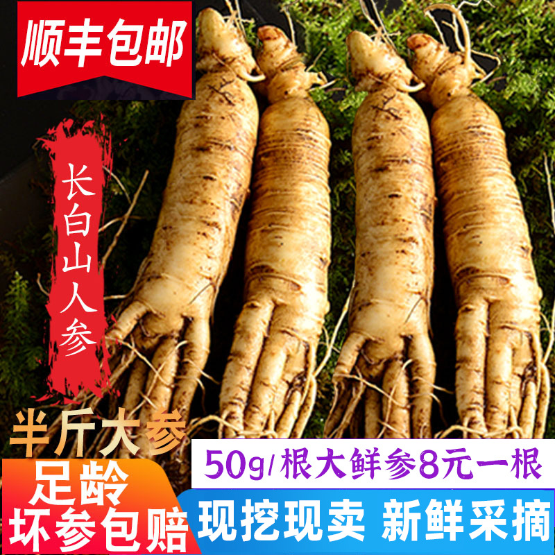 顺丰包人参50g长白山鲜参人参鲜参泡酒煲汤东北鲜人参新鲜人参
