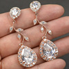 Golden earrings, suitable for import, wish, pink gold, European style