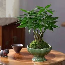 ̦�\���Ä����մɻ�����ʽ���滨��ˮ���o���������ľ������