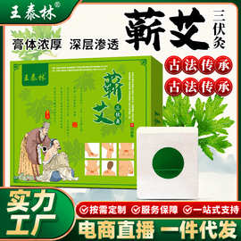 源头厂家王泰林蕲艾三伏贴穴位贴艾灸贴艾草温灸艾草贴会销养生馆
