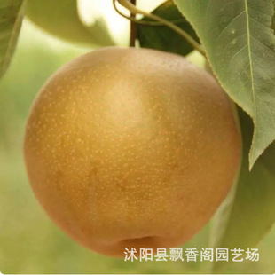 �޽�������ͺ���Ʒ�N�ش����A�����ϱ���ͥԺ�Nֲ����Y������