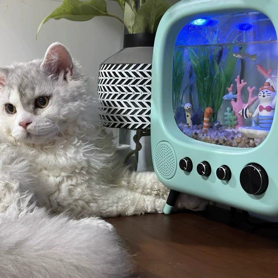 Аквариум, настольный креативный телевизор для офиса, кошка