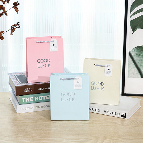 GIFT BAGS FOR BIRTHDAY, NEW YEAR, VALENTINE'S DAY - PERFECT FOR HANDOUT GIFTS, PERFUME, LIPSTICK AND OTHER PRESENTS WITH CARRY BAG