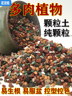 ���⌣���w���I�B��ֲ��͸����̿�Nֲ�����ʯ�������~�弃��ʯ�^