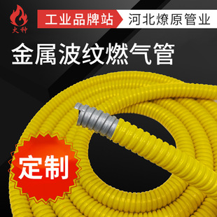 Powerful Manufacturer of Natural Gas Pipe Plastic-Coated Metal Hose Liquefied Gas Hose Explosion-Proof Flame Retardant Gas Pipe Gas Gold