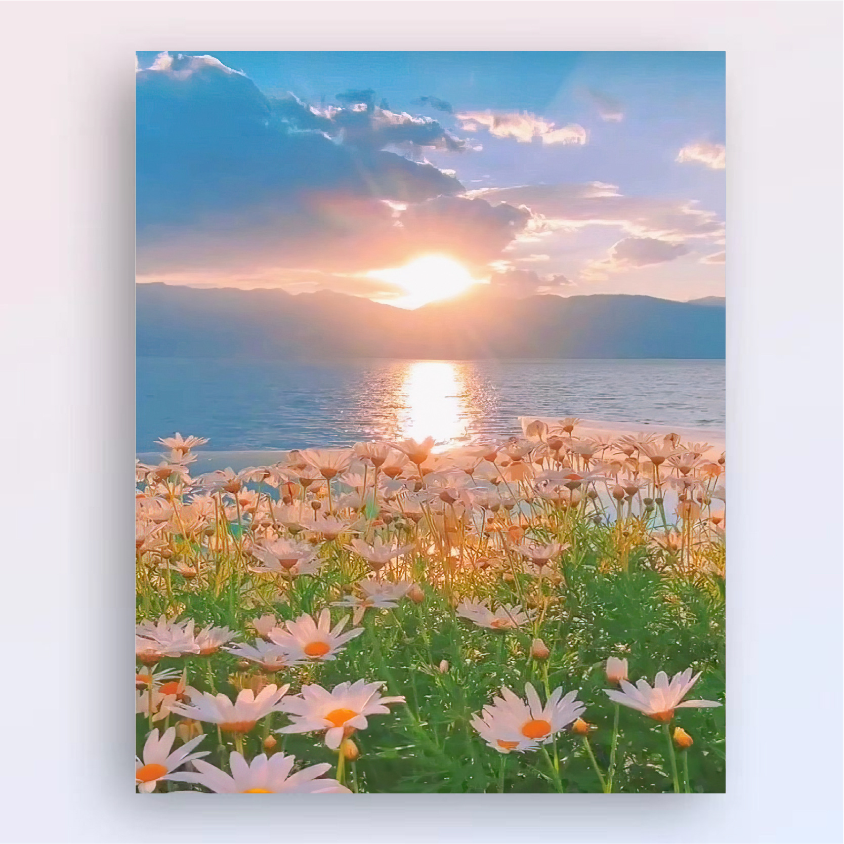 Personaje de dibujos animados bricolaje pintura al óleo digital hecho a mano relleno de color pintura acrílica pintura decorativa Margarita