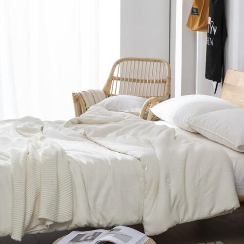 Japanese Nishikawa silk quilt 100% medium filament mulberry silk winter quilt spring and autumn quilt core high-end bed household raw cotton