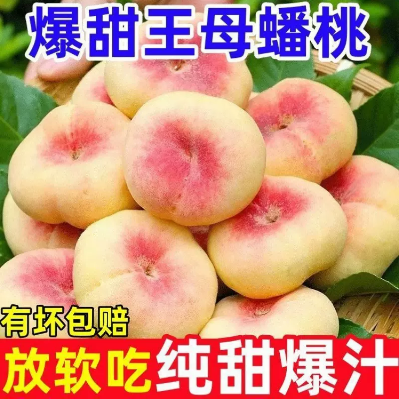 陕西毛蟠桃扁桃水蜜桃新鲜桃子孕妇水果应季王母蟠桃跨境批发