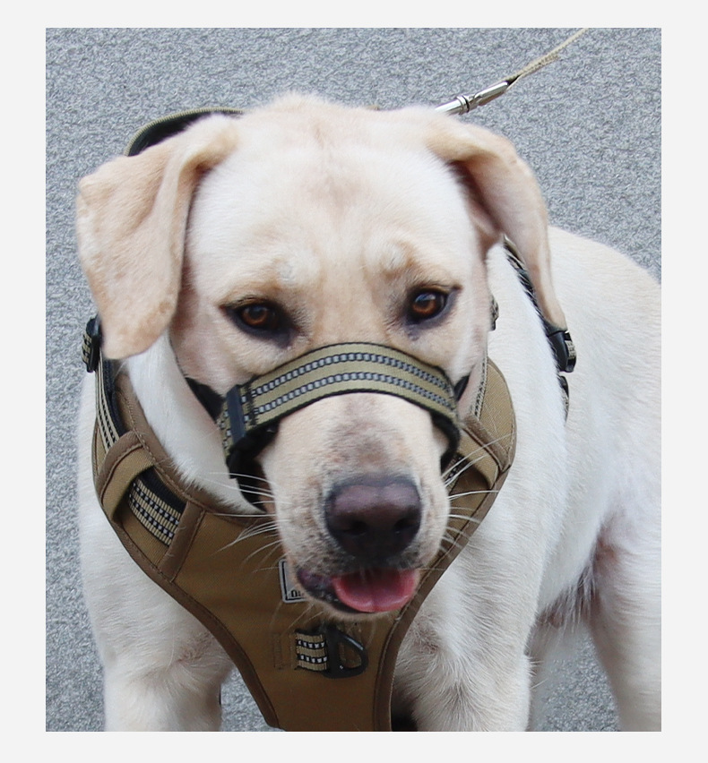 Adjustable Tactical Dog Muzzle Anti-bite Pet Mask For Large Dogs_voghion.com