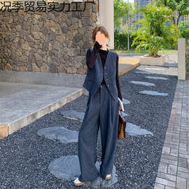 山力达迪感马甲套装女初秋季新款韩系气质通勤阔腿裤两件套