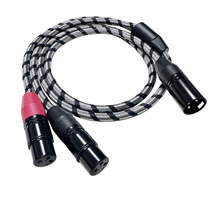 ���rĸ�D�p���r��һ�ֶ����zĸ�D���z����������Ч����