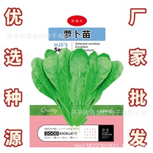 }Nӡ5ˡļѿ}яS߲˷Nl