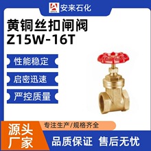Z15W-16T�S�~�z���l�y�ݼyȫ�~���{ůͨ�ԁ�ˮ���y�T�_�P
