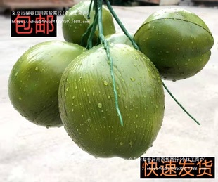 ��Ҭ����Ҭ��Ҭ��Ҭ�Ә�����ϵ��� ˮ����ˮ���b�